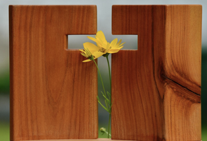 Quelle: congerdesign / cc0 – gemeinfrei / Quelle: pixabay.com