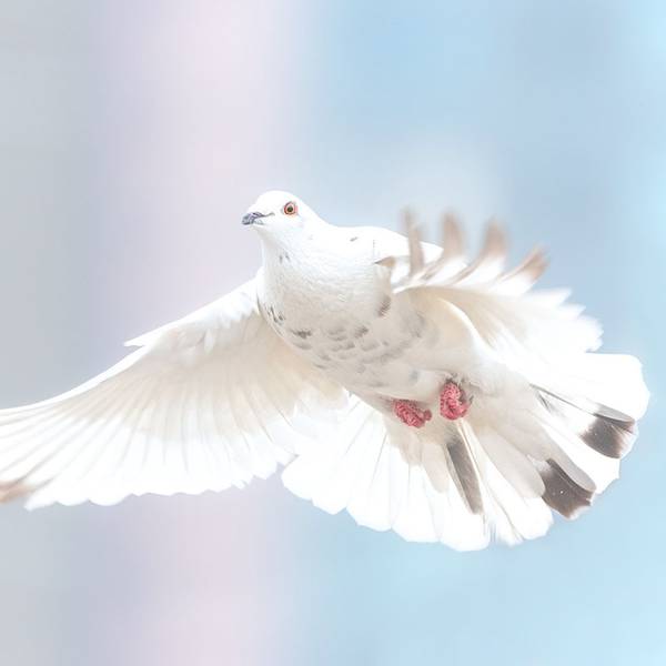Quelle: pixabay/Michel Kwana